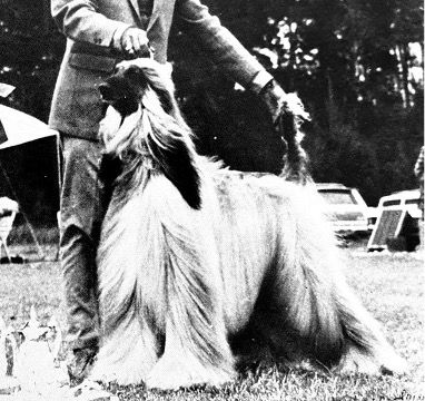 Beauty and the Beast vs. Cinderella